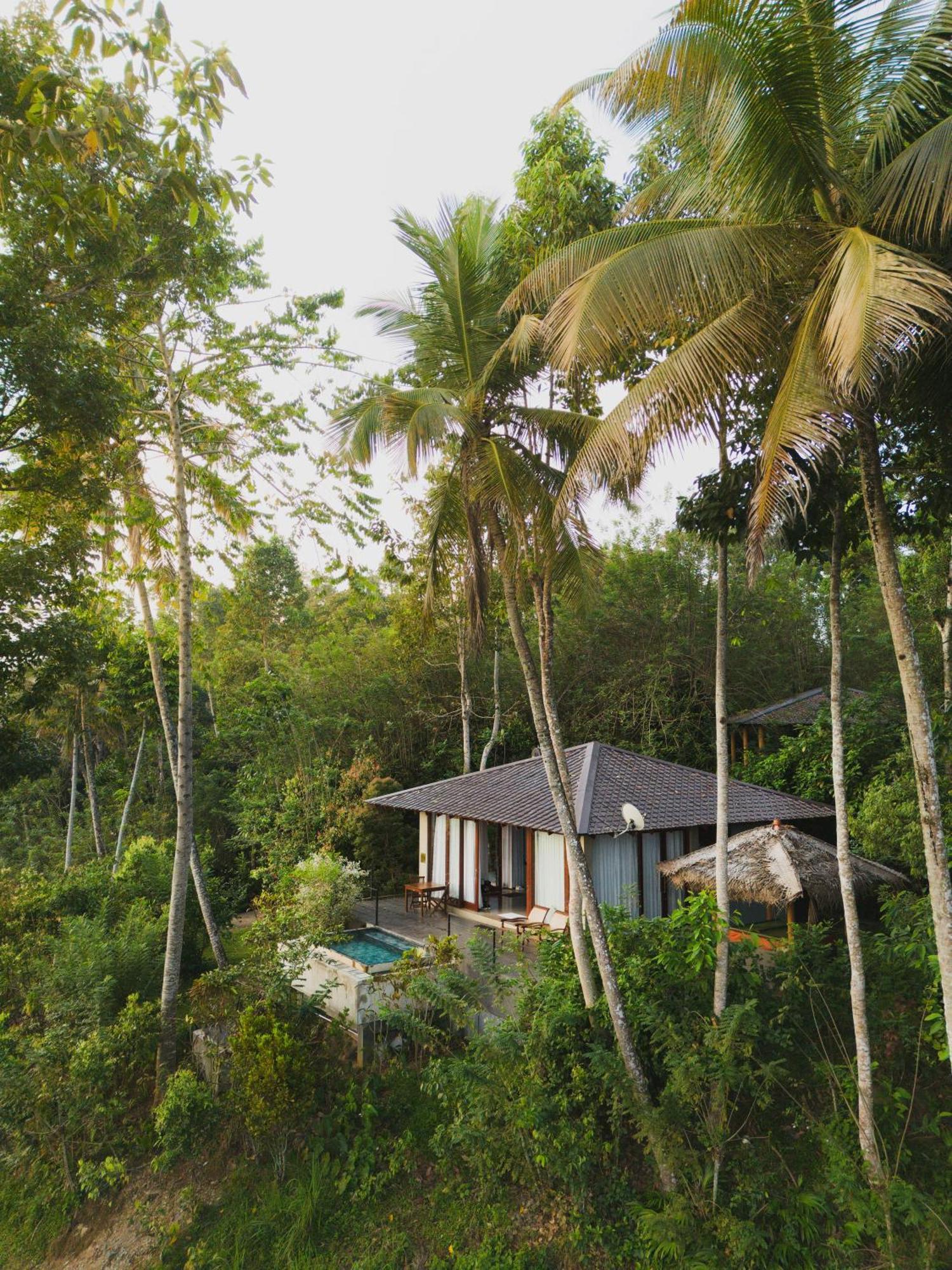 Aarunya Nature Resort - Kandy Luaran gambar